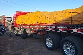 Polícia apreende R$ 10 milhões em drogas escondidas em caminhão