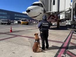 Receita apreende 270 kg de tabaco venezuelano em Viracopos