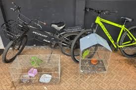 Polícia Civil prende trio com drogas, aves silvestres e até drone