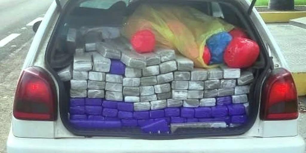 Adolescente ao volante assusta, freia e revela meia tonelada de maconha