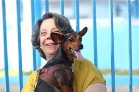 Alesp aprova e Tarcísio vai avaliar sepultar pets com tutores