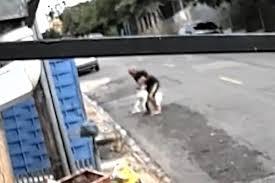 VÍDEO: Criança de 4 anos é atacada por pitbull em Campinas
