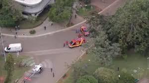 Árvore de grande porte cai no parque Ibirapuera e atinge mulher