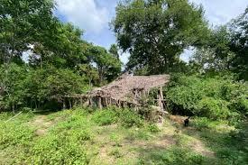 Cães farejadores confirmam passagem de crianças pela 'casa caída'