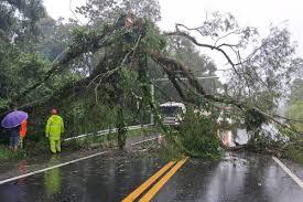 Chuva interdita trechos de estradas no litoral de São Paulo