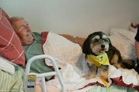 Famílias com pacientes com câncer podem ter desconto na energia