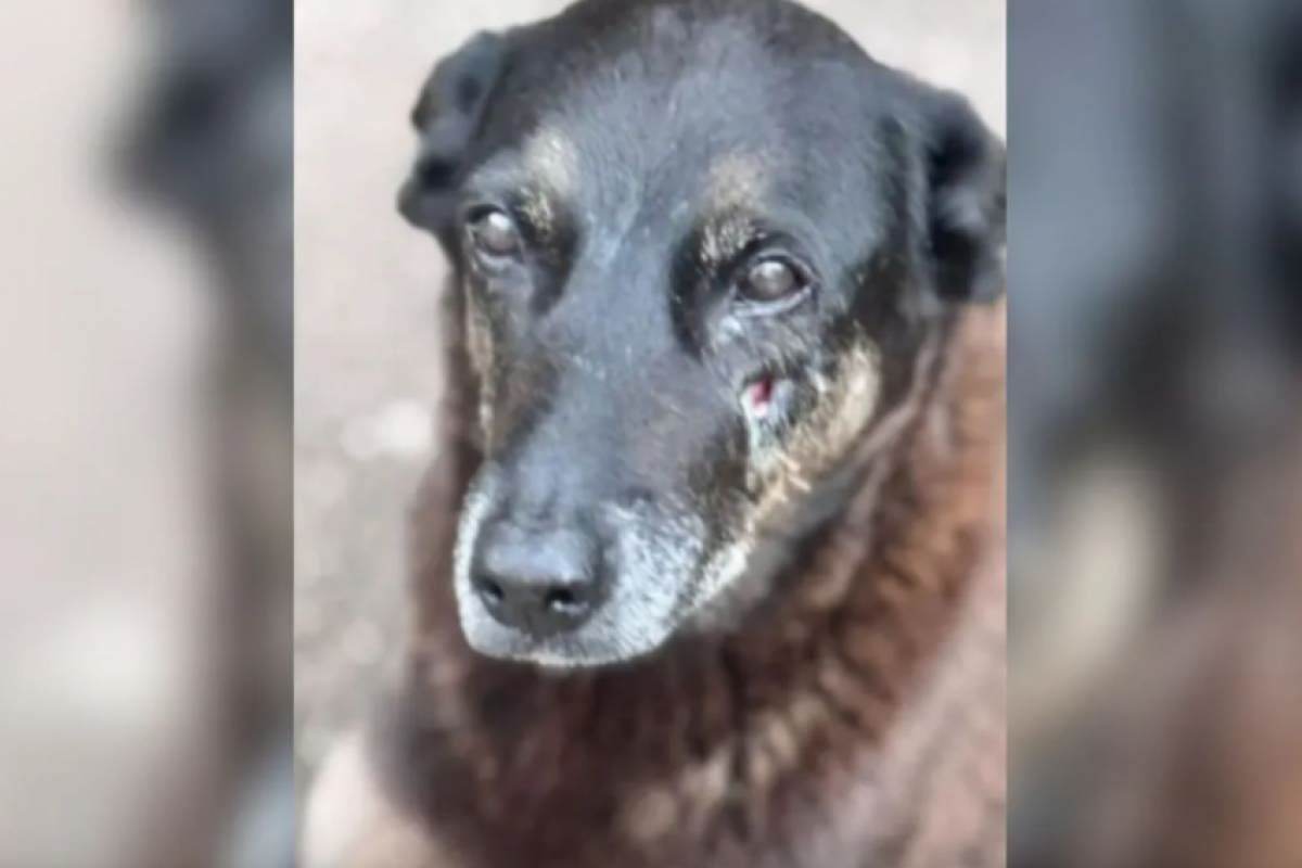 Famílias dos suspeitos dizem que sofrem ameaças: 'São inocentes'