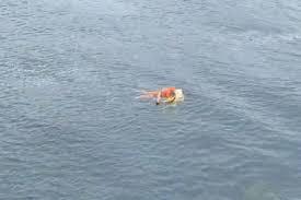 Homem se agarra a porta de geladeira e sobrevive no mar; VÍDEO