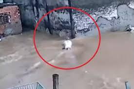 Motociclista sobrevive a ser arrastado por enxurrada em Guarulhos