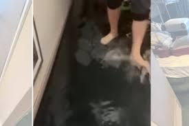 Passageiros acordam com cabines de cruzeiro inundadas; VÍDEO