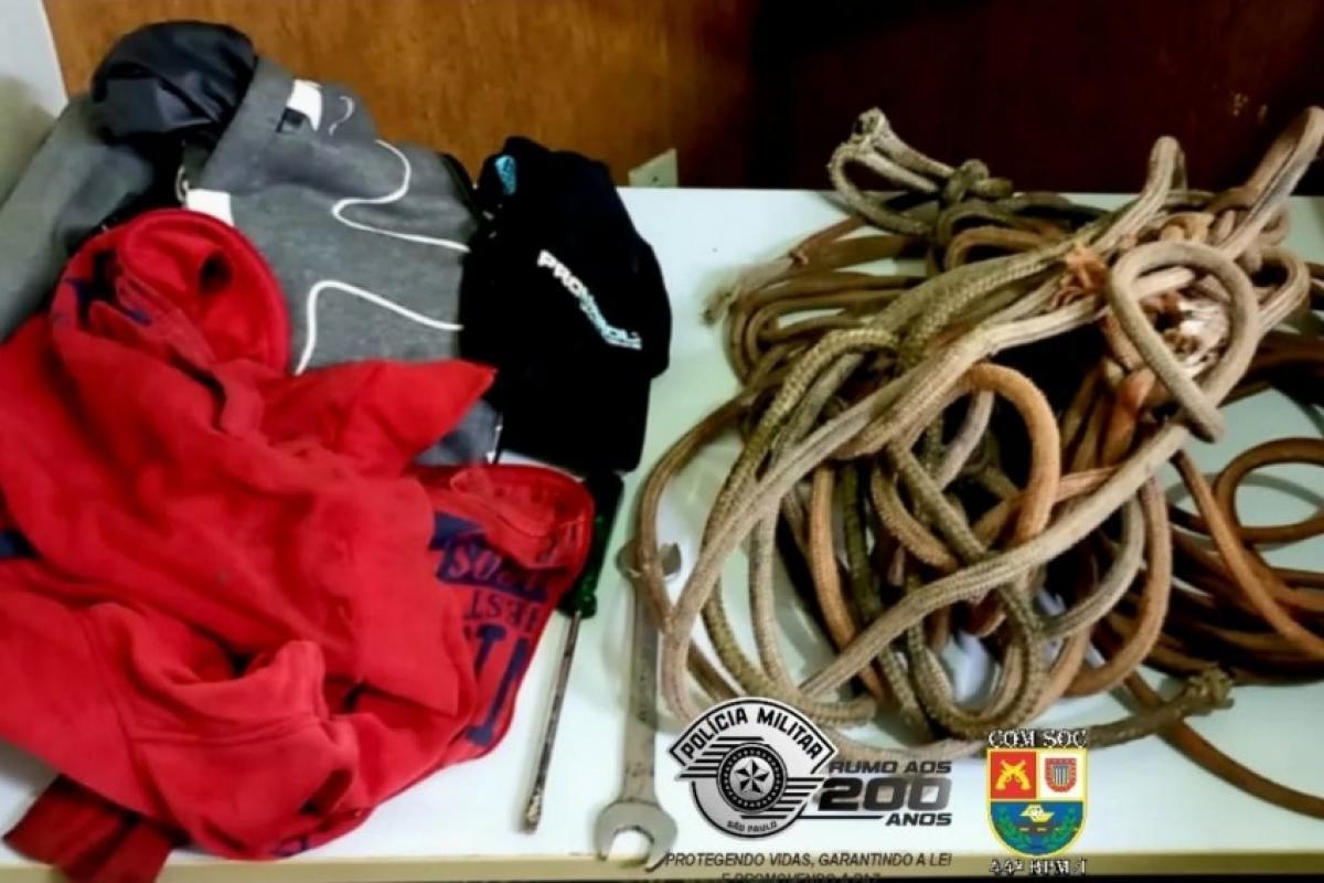 Bezerros são amarados em tentativa de furto e suspeito é preso