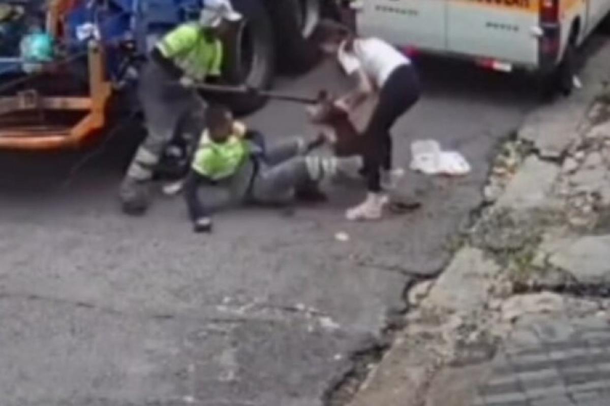 Garis ficam feridos após ataque de pitbull em São Paulo