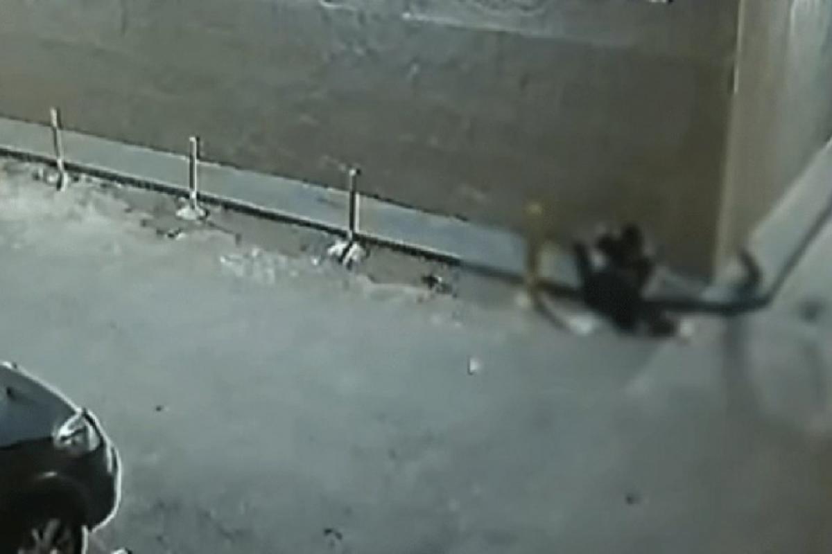 Homem escala prédio e invade apartamento de advogada