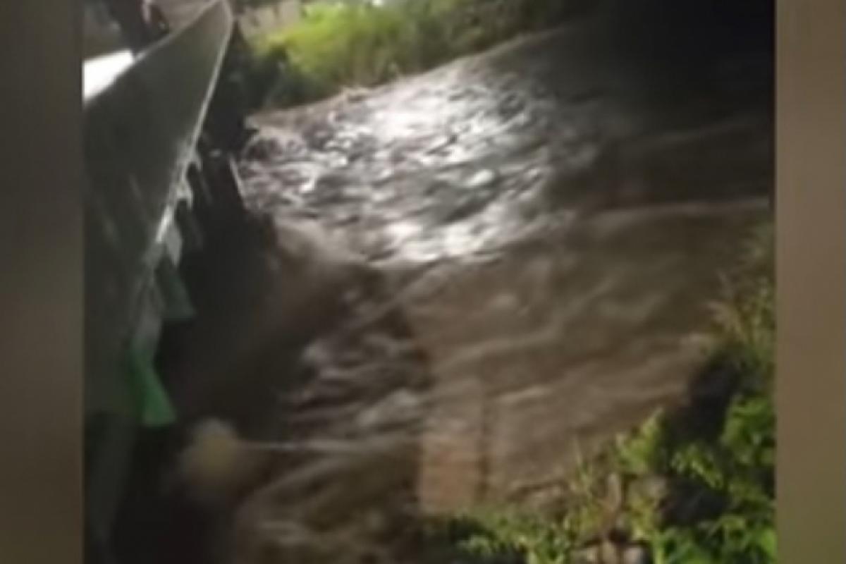 O que explica a chuva acima da média neste fevereiro?