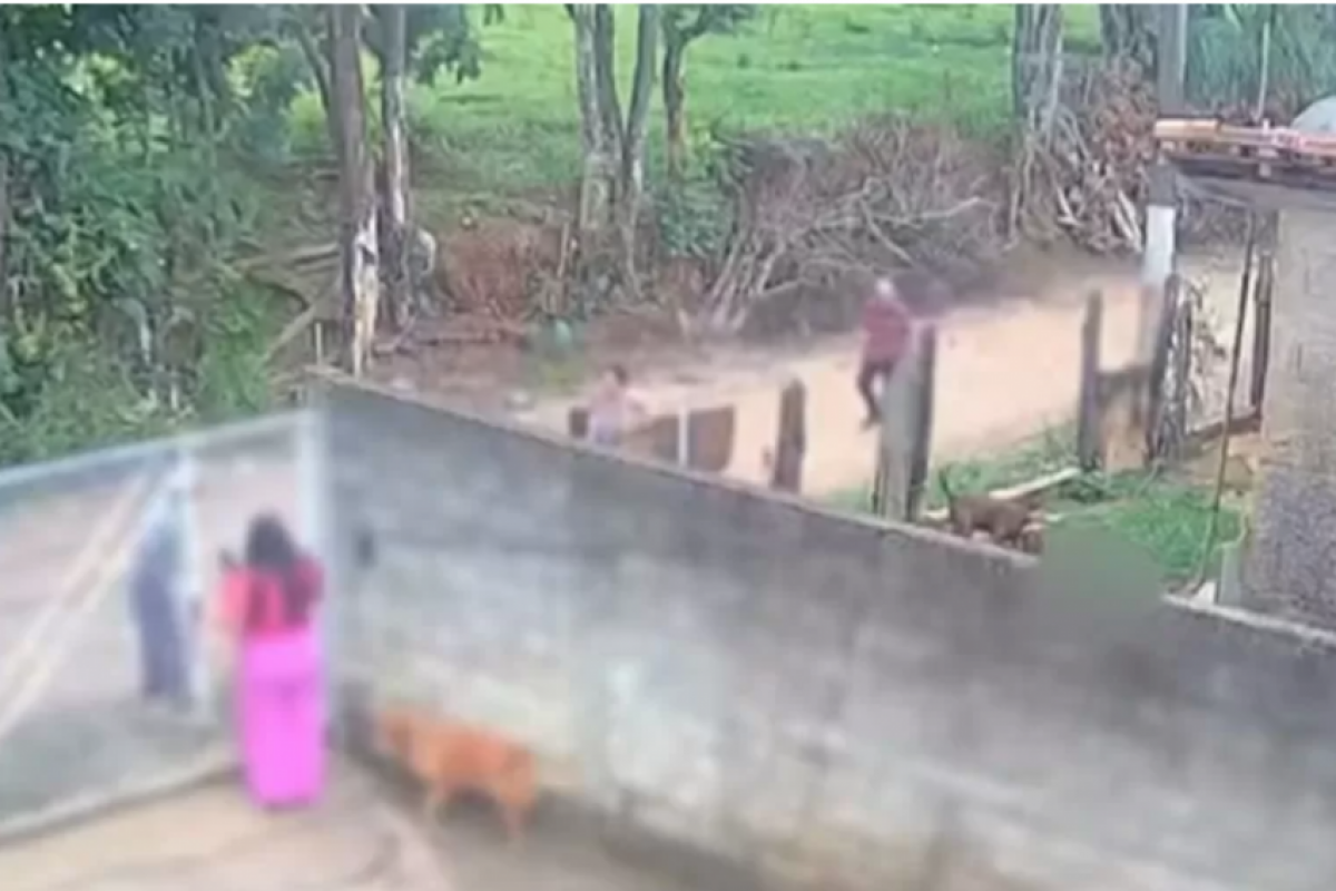 Polícia apura se bebê já estava morto antes de ataque de pitbull