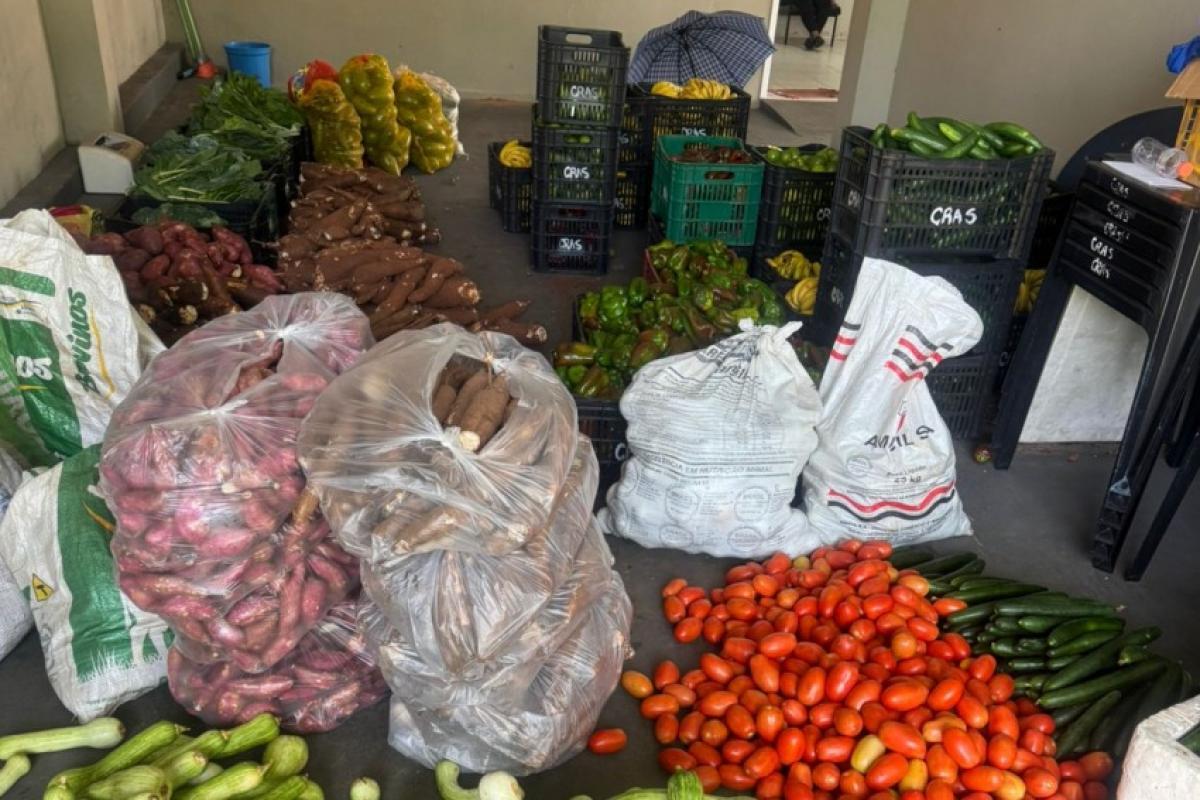 CATI Regional Bauru distribui alimentos do PAA na região