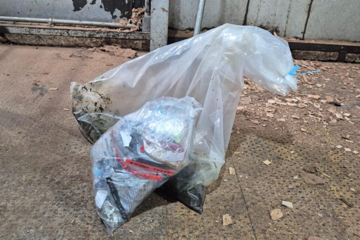 Droga apreendida pelas forças de segurança é incinerada