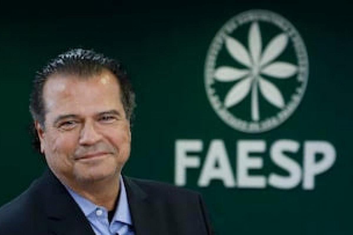 Força do campo: agronegócio puxa para cima resultado do PIB 2025