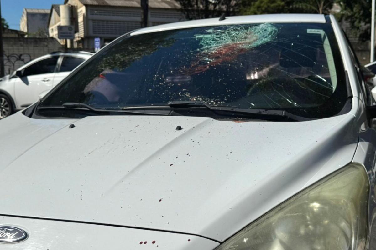 Homem é preso após quebra-quebra na rodoviária de Bauru; VÍDEO