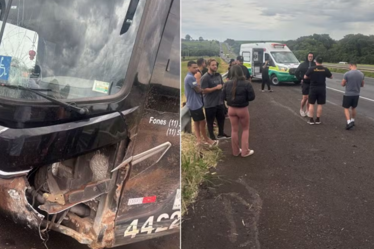 Latino e equipe sofrem acidente de ônibus na SP-130