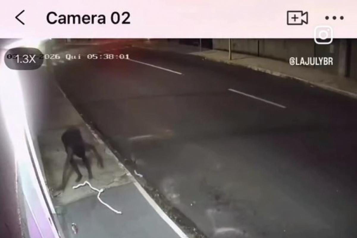 Loja tem ar-condicionado danificado após furto em Bauru; VÍDEO