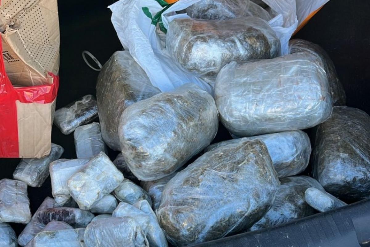 Operação Integrada flagra homem com 11 kg de maconha e dry