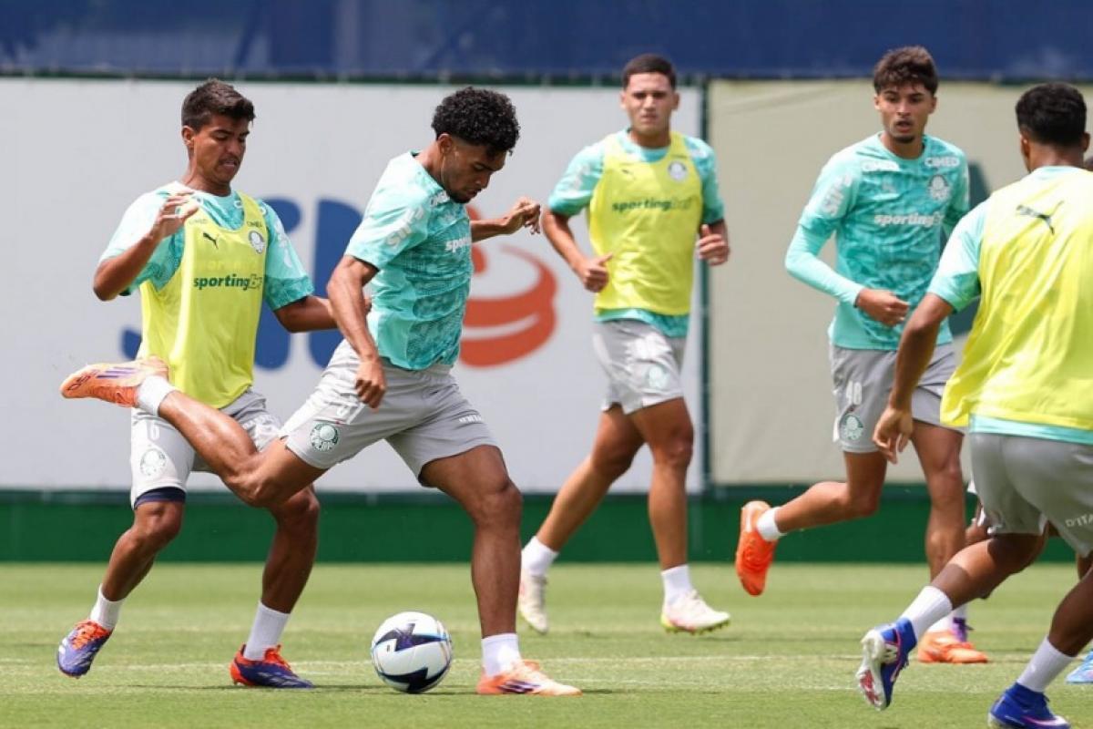 Palmeiras e Novorizontino decidem título neste domingo