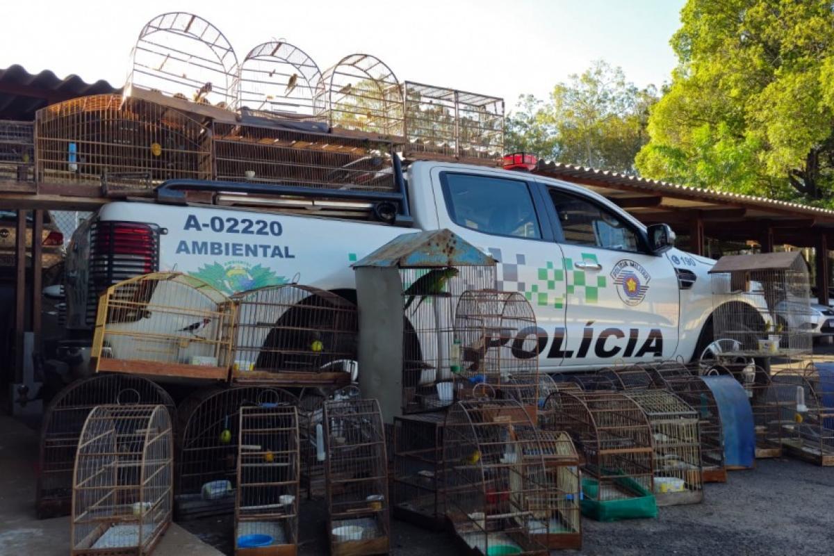 PM Ambiental resgata 40 aves silvestres em cativeiro em Agudos