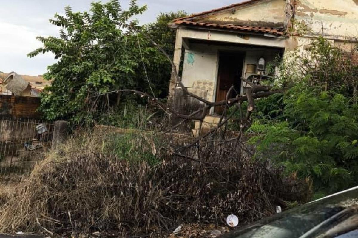 Casa vira 'berçário' de escorpiões e ratos em bairro de Bauru