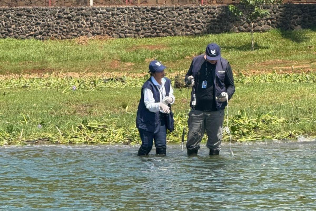 Governo inicia combate às macrófitas que invadem o Tietê