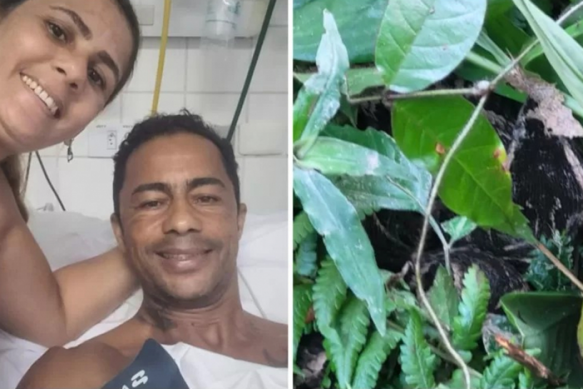 Homem picado por cobra diz ter recebido 20 doses de soro errado