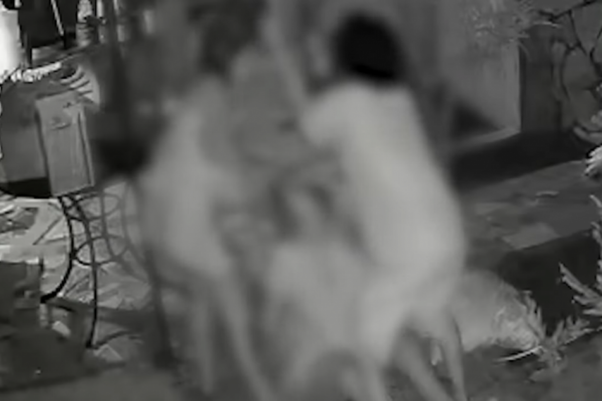 Hóspede bate e empurra idosa dona de pousada; VÍDEO