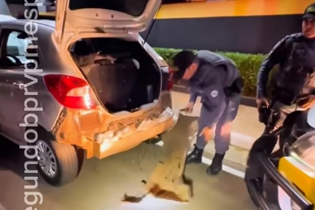 PM apreende R$ 100 mil em droga em compartimento secreto; VÍDEO