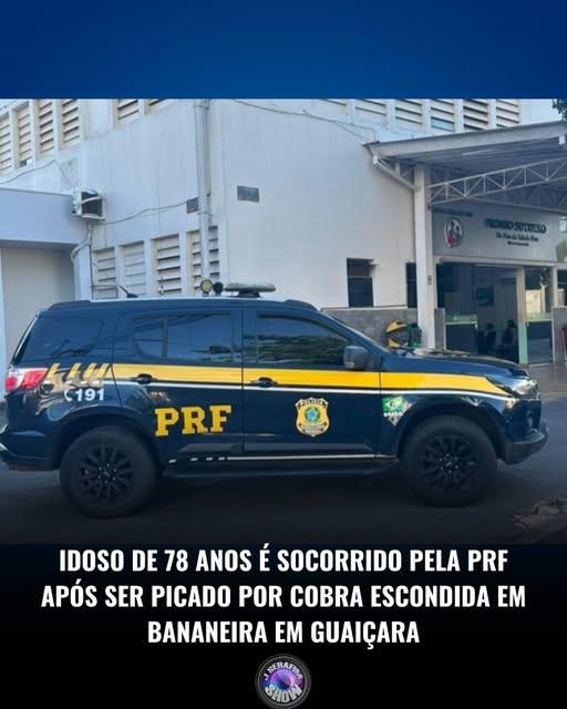 Um homem de 78 anos foi socorrido pela Polícia Rodoviária Federal (PRF) após ser picado por uma cobra dentro de uma chácara em Guaiçara