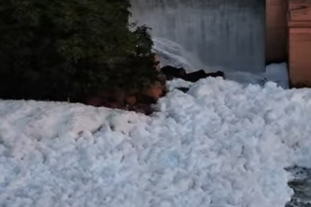 Espuma tóxica cobre Rio Tietê e acende alerta; VÍDEO