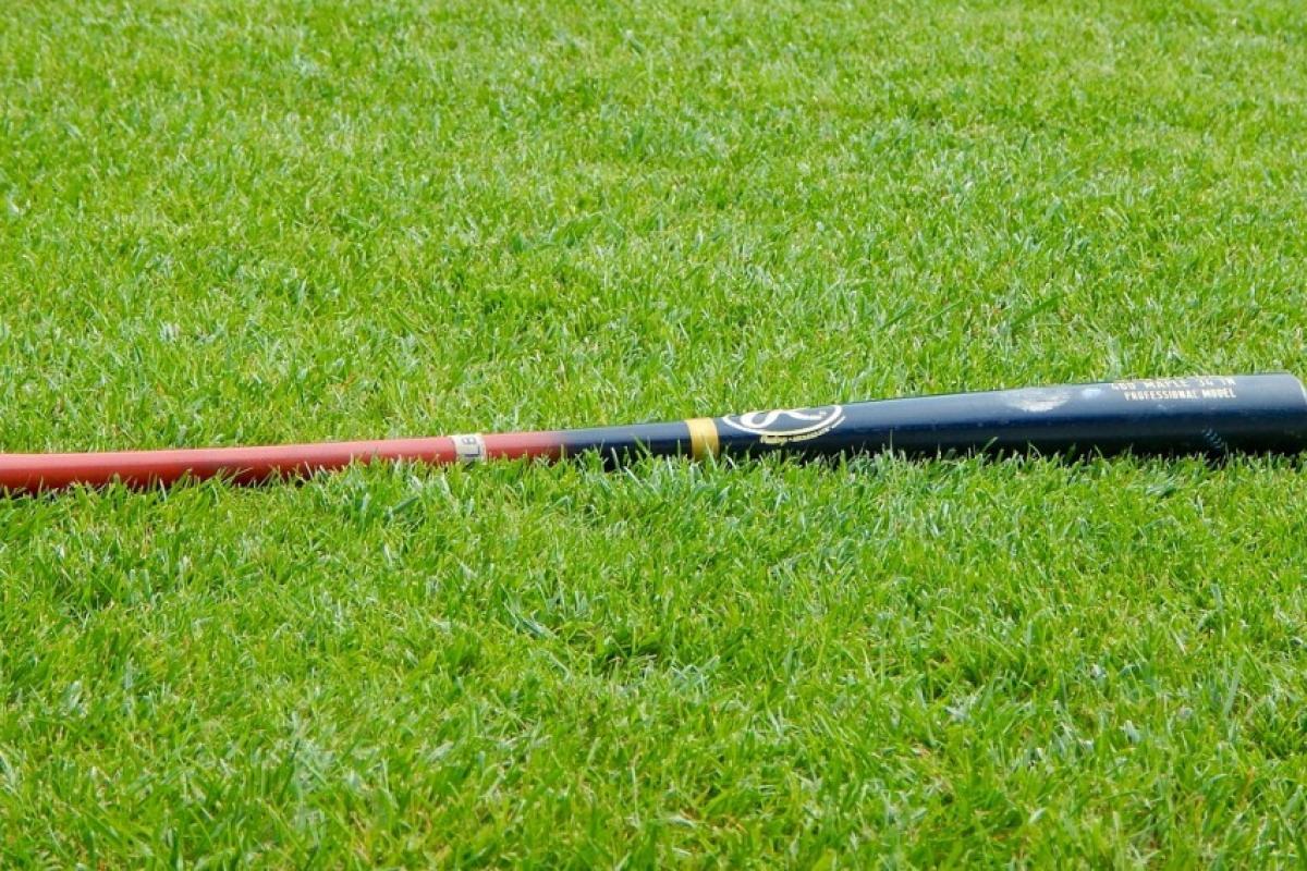 Homem é suspeito de matar ex-genro com taco de beisebol