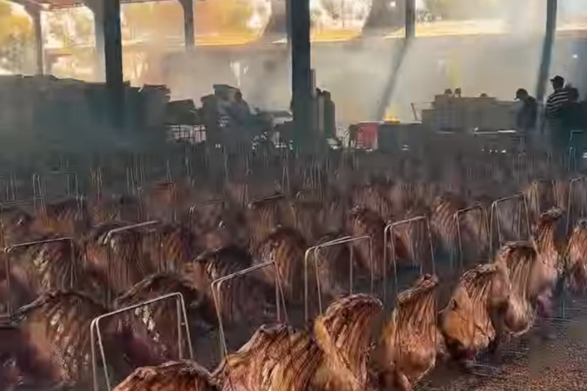 Maior churrasco de Dia do Trabalhador do mundo é brasileiro; VEJA