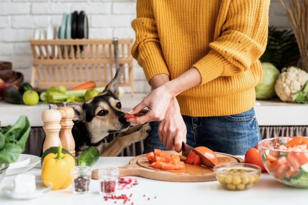 O que cães e gatos não podem comer?