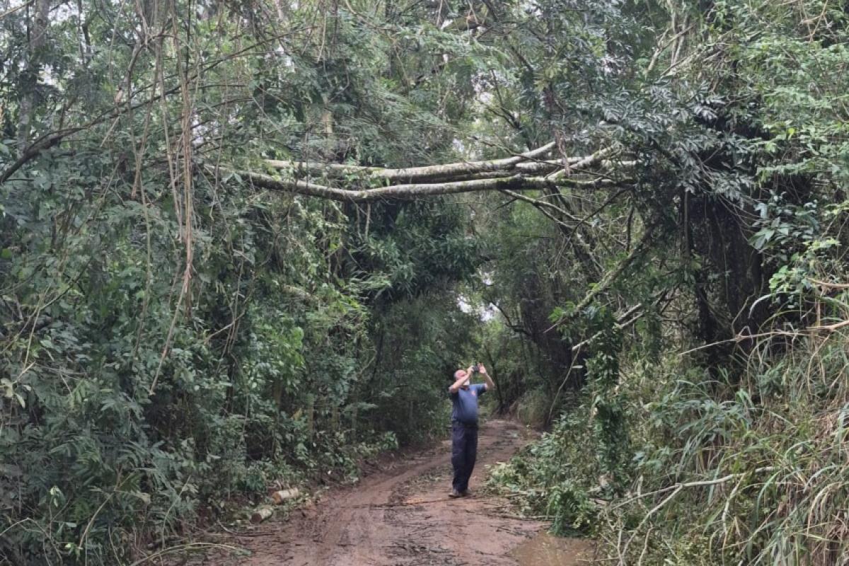 Temporal causou impacto ambiental na zona rural de Bauru; VÍDEO