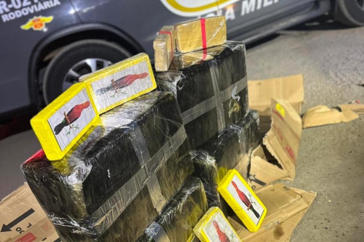 TOR apreende 135 kg de cocaína em rodovia de Cafelândia