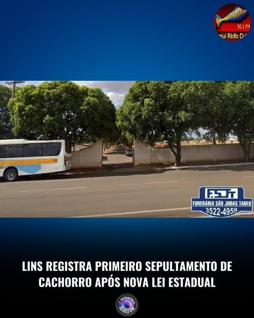 Um cachorro da raça pinscher, já idoso e com aproximadamente 15 anos, foi sepultado na tarde desta segunda-feira (25) no Cemitério São João Batista
