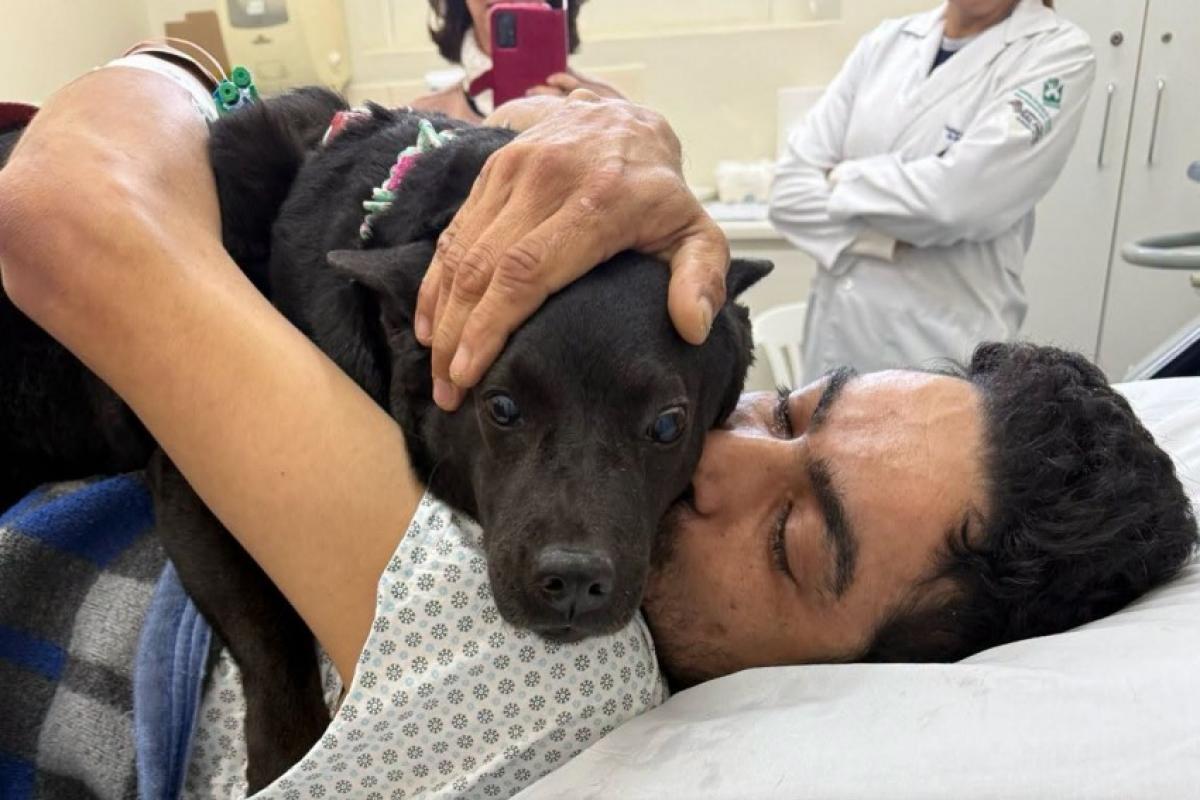 Bauru: paciente chora de saudade e reencontra amiga de 4 patas