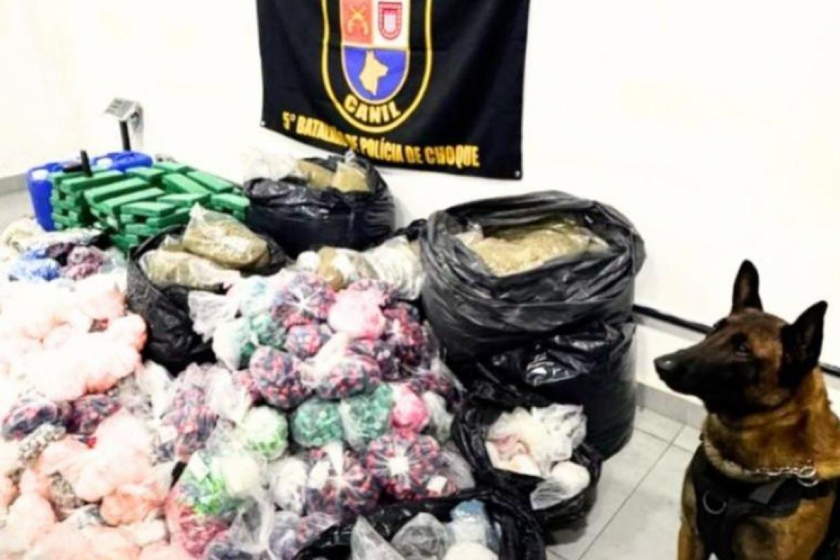 Cão farejador ajuda PM a achar depósito com 300 kg de drogas