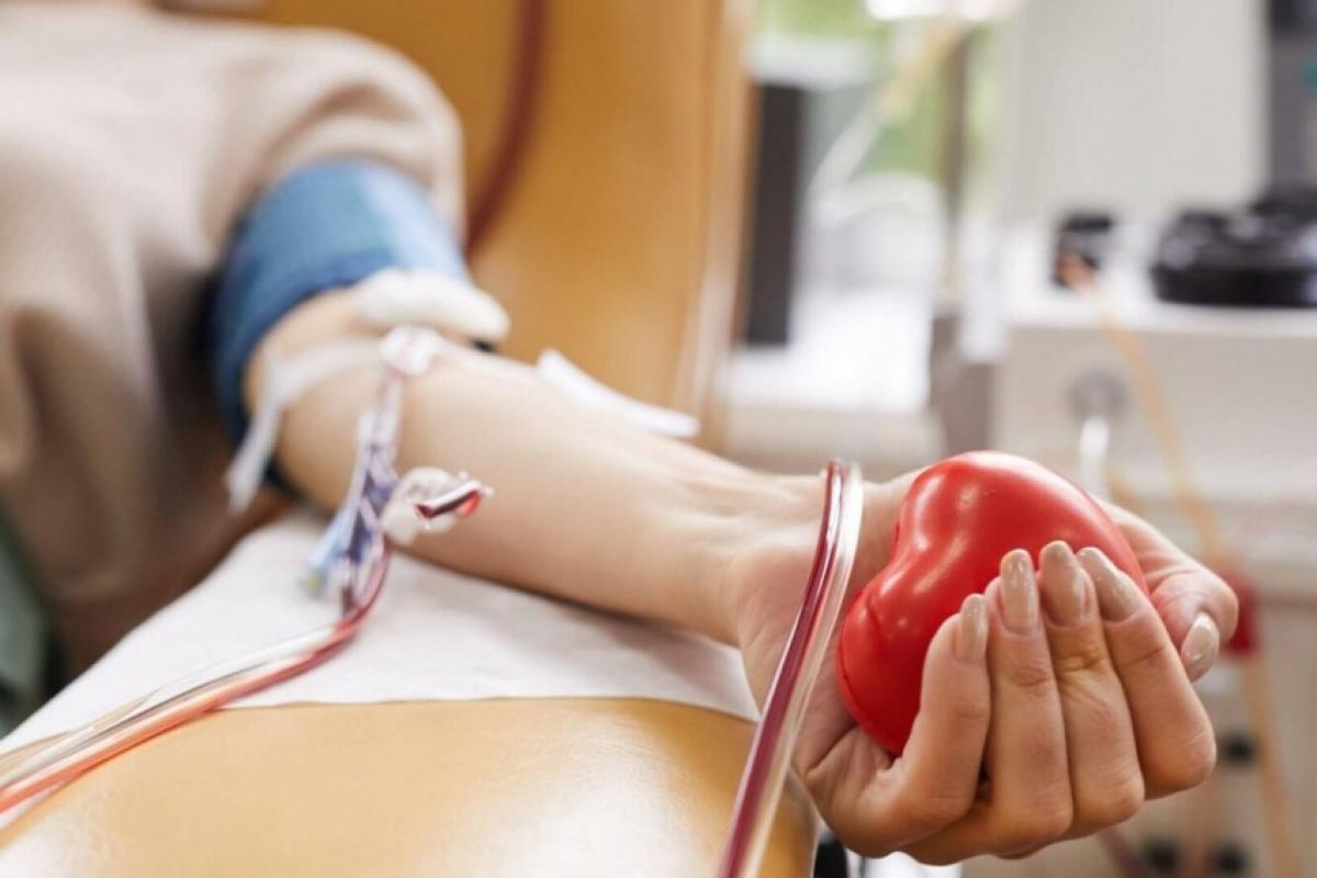 Estoque crítico de sangue O positivo convoca doadores para ação