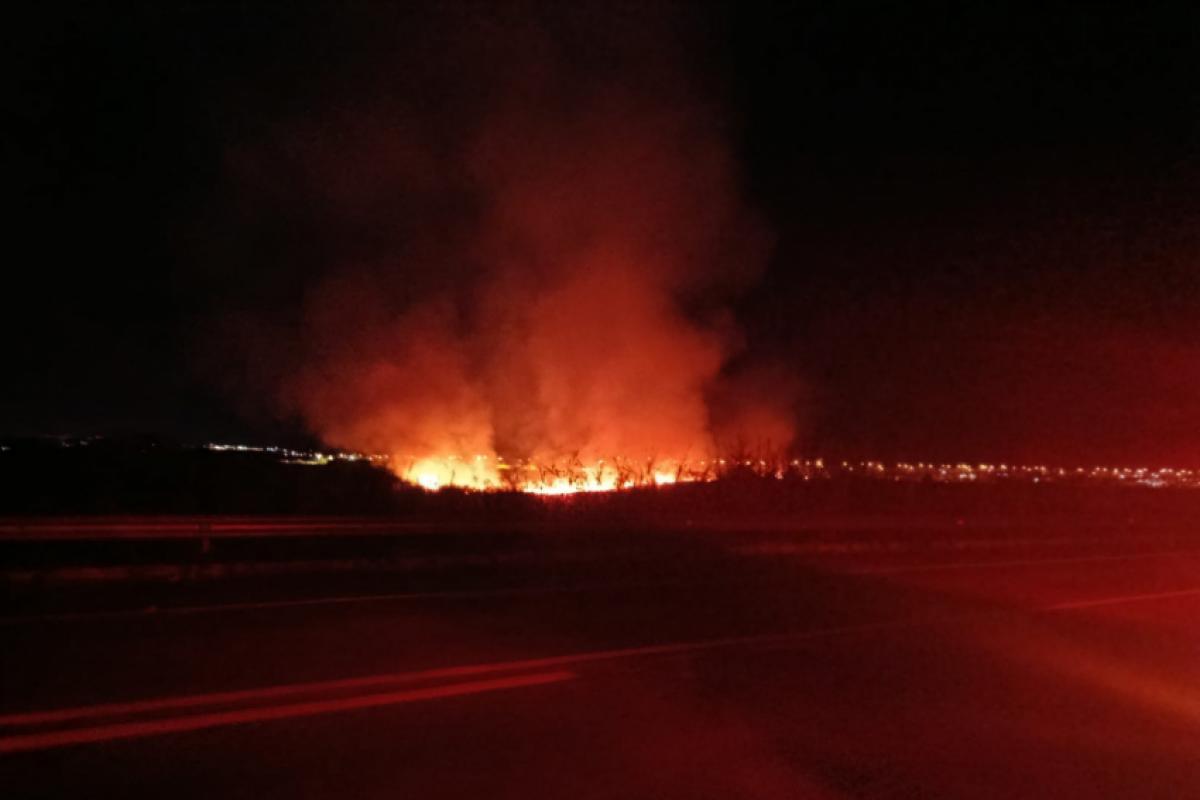 Incêndio atinge mata e chega às margens da SP-461