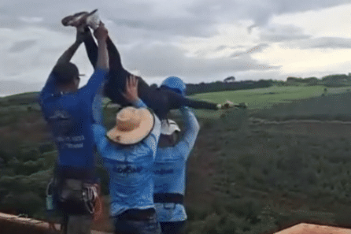 Instrutor cita gritos e desistência em morte durante rope jump