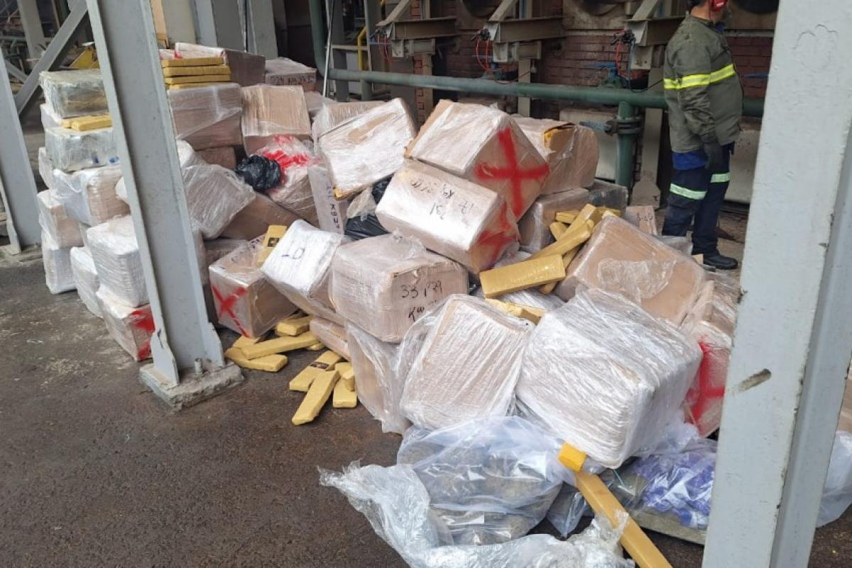 Polícia incinera 3,5 toneladas de drogas apreendidas em rodovia
