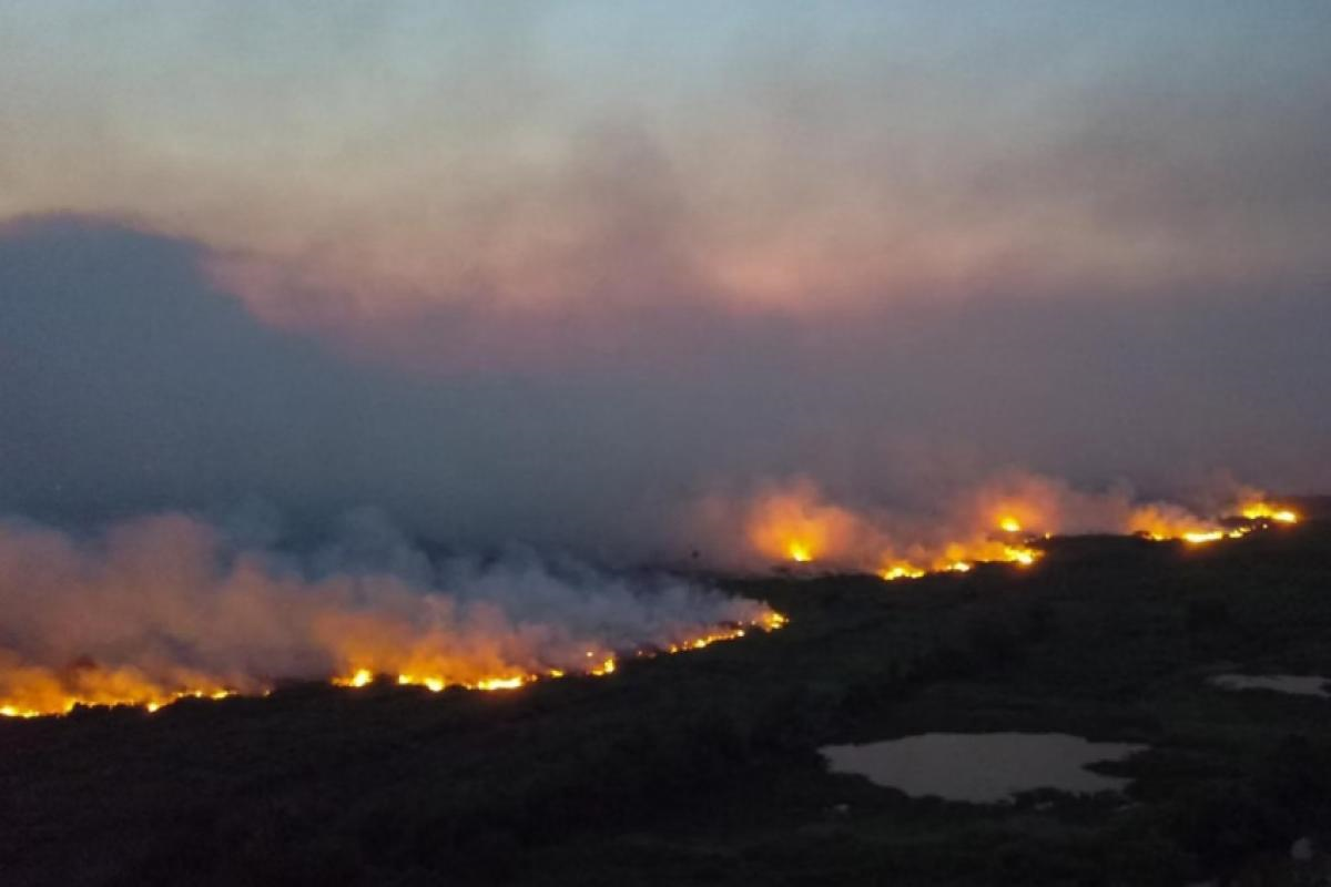Área queimada no Brasil cai 58%, um ano após incêndios históricos