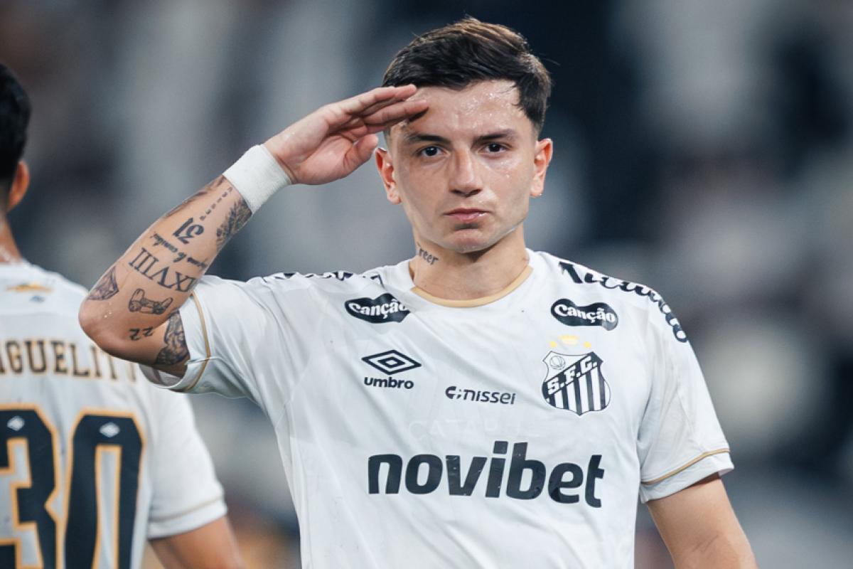 Botafogo aproveita trapalhada nos acréscimos e vence Santos