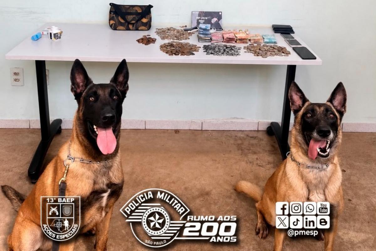 Cães do Baep encontram drogas e dupla é presa em Jaú